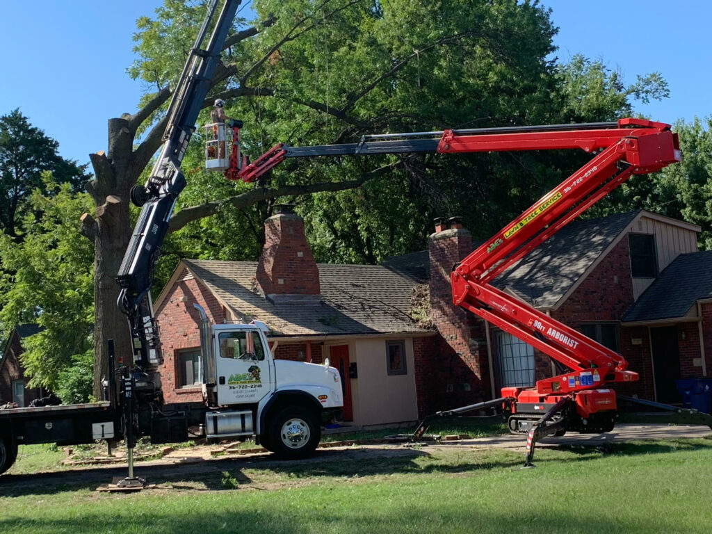 Ponce Tree Service